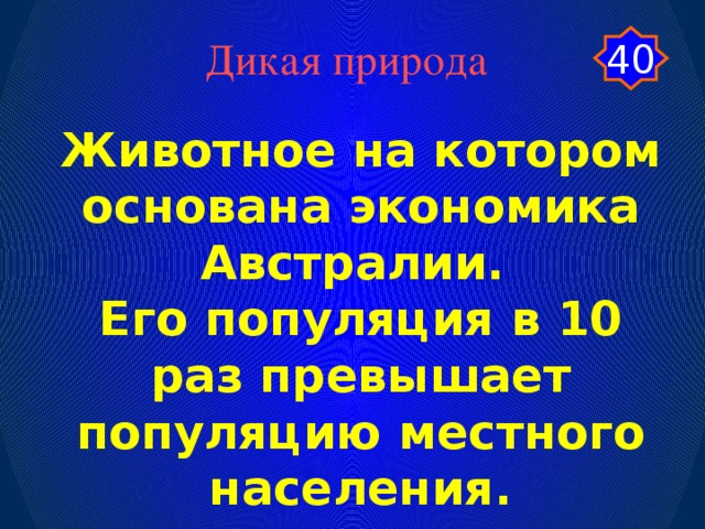 40 Дикая природа Животное на котором основана экономика Австралии. Его популяция в 10 раз превышает популяцию местного населения.