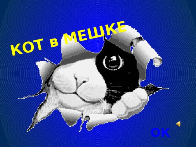 КОТ в МЕШКЕ ОК