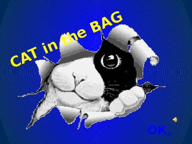 CAT in the BAG ОК .