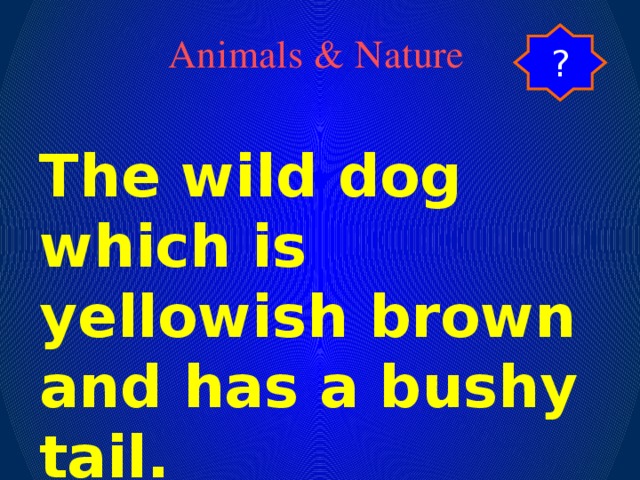 ? Animals & Nature The wild dog which is yellowish brown and has a bushy tail.