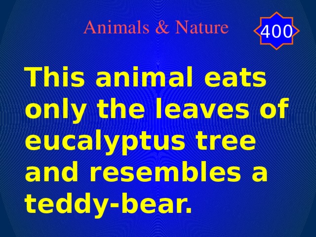 400 Animals & Nature This animal eats only the leaves of eucalyptus tree and resembles a teddy-bear.