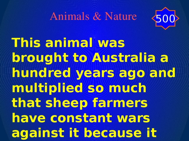 500 Animals & Nature This animal was brought to Australia a hundred years ago and multiplied so much that sheep farmers have constant wars against it because it destroys much grass.
