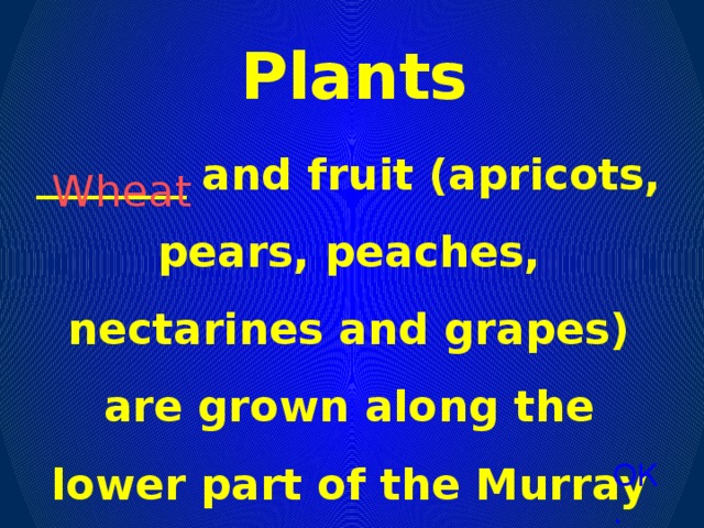 Plants _______ and fruit (apricots, pears, peaches, nectarines and grapes) are grown along the lower part of the Murray River. Wheat ОК.
