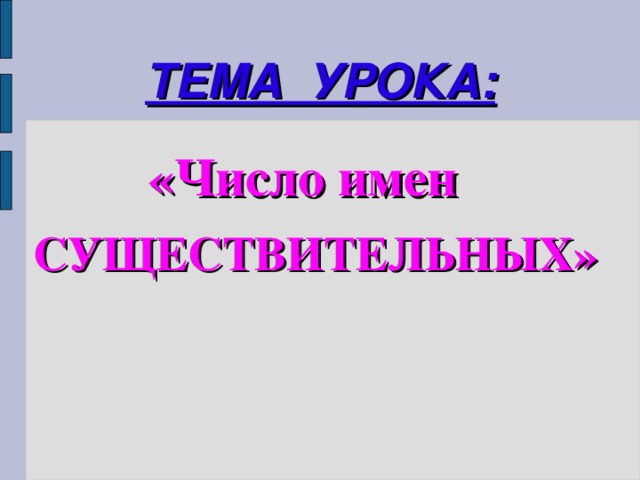 ТЕМА УРОКА: «Число имен  СУЩЕСТВИТЕЛЬНЫХ»