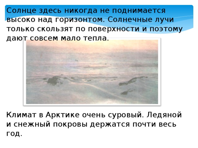 Солнце здесь никогда не поднимается высоко над горизонтом. Солнечные лучи только скользят по поверхности и поэтому дают совсем мало тепла. Климат в Арктике очень суровый. Ледяной и снежный покровы держатся почти весь год.