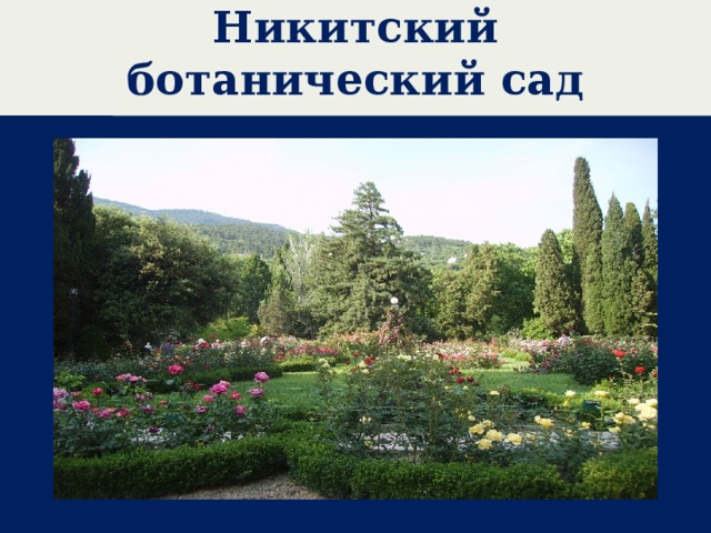 Никитский ботанический сад