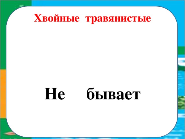 Хвойные травянистые Не бывает