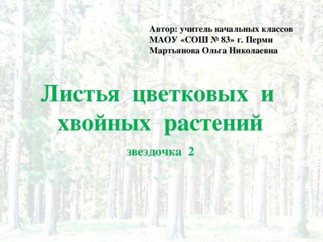 Автор: учитель начальных классов МАОУ «СОШ № 83» г. Перми Мартьянова Ольга Николаевна Листья цветковых и хвойных растений звездочка 2