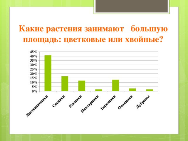 Какие растения занимают большую площадь: цветковые или хвойные?