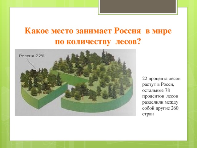 Какое место занимает Россия в мире по количеству лесов? 22 процента лесов растут в Росси, остальные 78 процентов лесов разделили между собой другие 260 стран