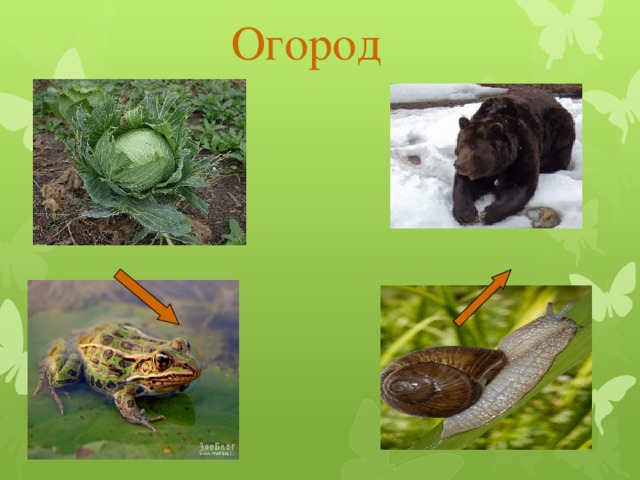 Огород