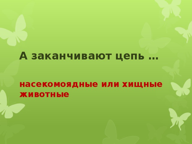 А заканчивают цепь …  насекомоядные или хищные животные