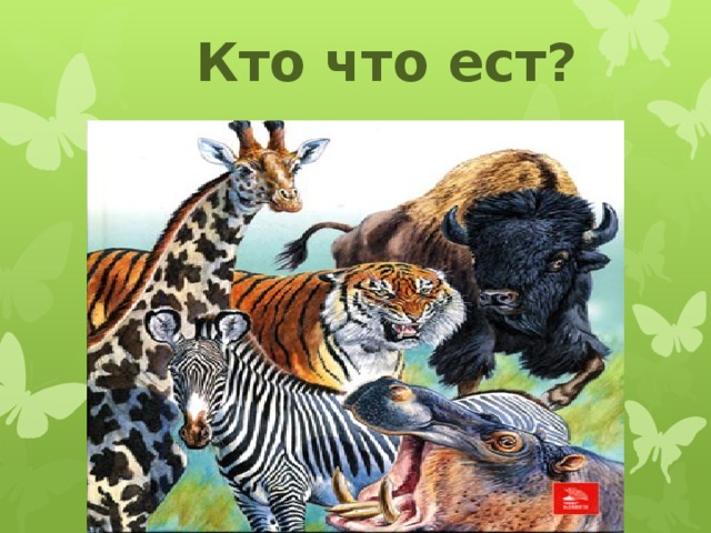 Кто что ест?