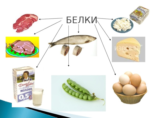 БЕЛКИ