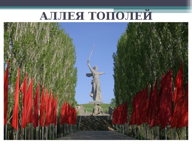 АЛЛЕЯ ТОПОЛЕЙ