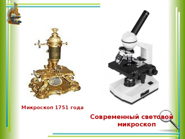 Микроскоп 1751 года  Современный световой микроскоп