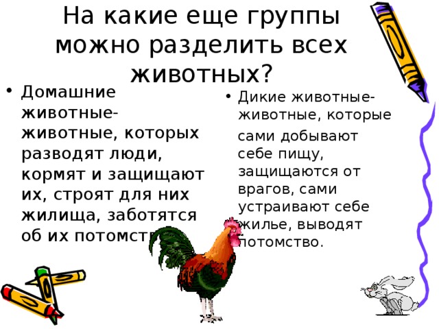 На какие еще группы можно разделить всех животных ? Домашние животные- животные, которых разводят люди, кормят и защищают их, строят для них жилища, заботятся об их потомстве.  Дикие животные-животные, которые  сами добывают себе пищу, защищаются от врагов, сами устраивают себе жилье, выводят потомство.