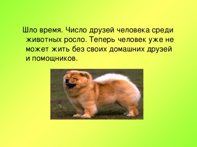 Шло время. Число друзей человека среди животных росло. Теперь человек уже не может жить без своих домашних друзей и помощников.