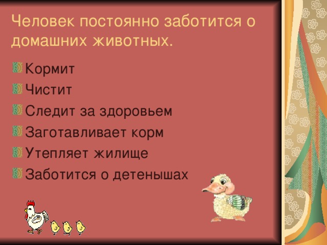 Человек постоянно заботится о домашних животных.