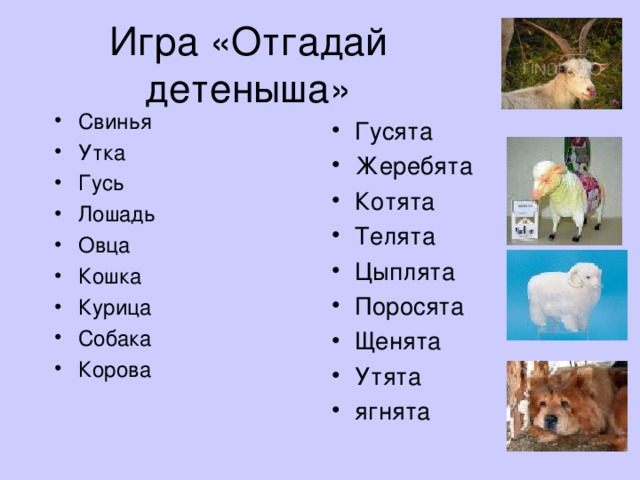 Игра «Отгадай детеныша»