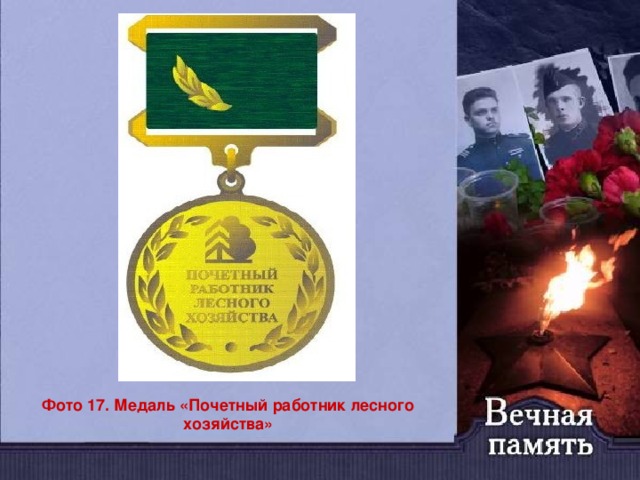 Фото 17. Медаль «Почетный работник лесного хозяйства»