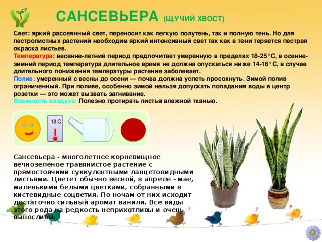 От трав зараженных татаригами исходит сильный запах геншин