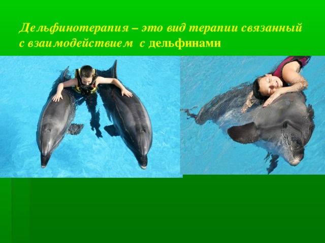 Дельфинотерапия – это вид терапии связанный с взаимодействием с дельфинами