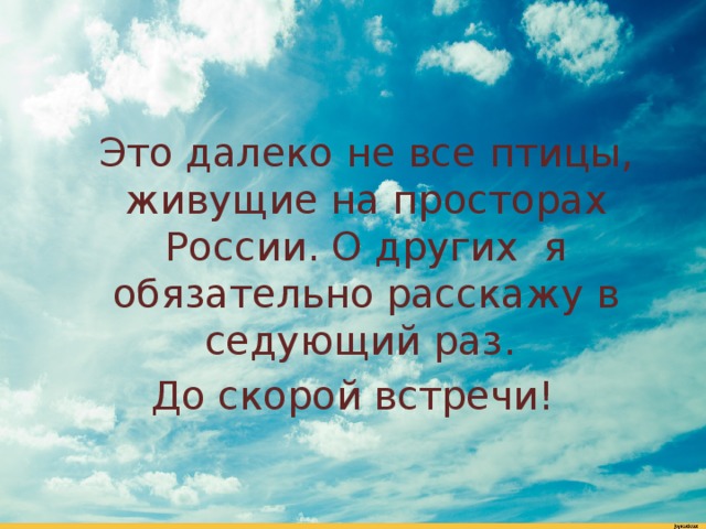 Это далеко не все птицы, живущие на просторах России. О других я обязательно расскажу в седующий раз. До скорой встречи!