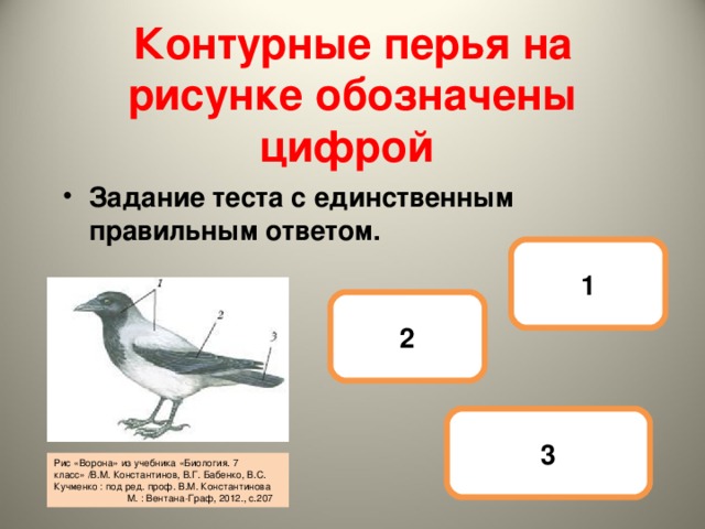 Тест по биологии 7 класс строение птиц