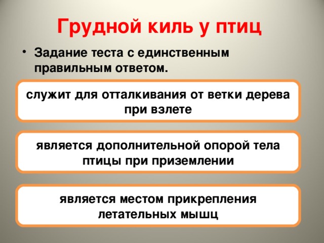 Грудной киль у птиц  Задание теста с единственным правильным ответом. служит для отталкивания от ветки дерева при взлете является дополнительной опорой тела птицы при приземлении является местом прикрепления летательных мышц