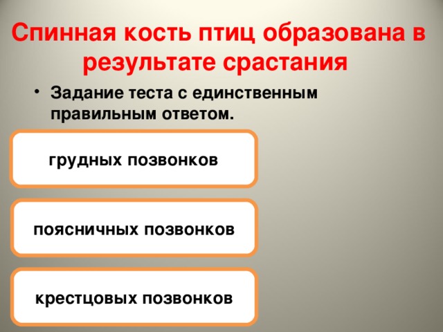 Спинная кость птиц образована в результате срастания Задание теста с единственным правильным ответом. грудных позвонков поясничных позвонков крестцовых позвонков