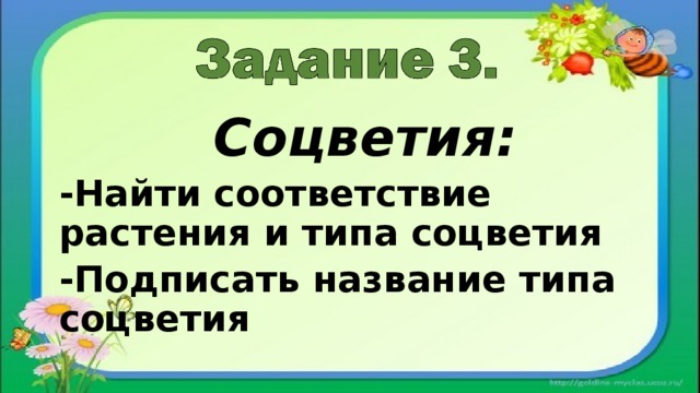 Соцветия: -Найти соответствие растения и типа соцветия -Подписать название типа соцветия