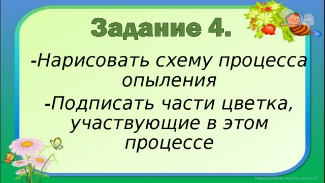 -Нарисовать схему процесса опыления -Подписать части цветка, участвующие в этом процессе