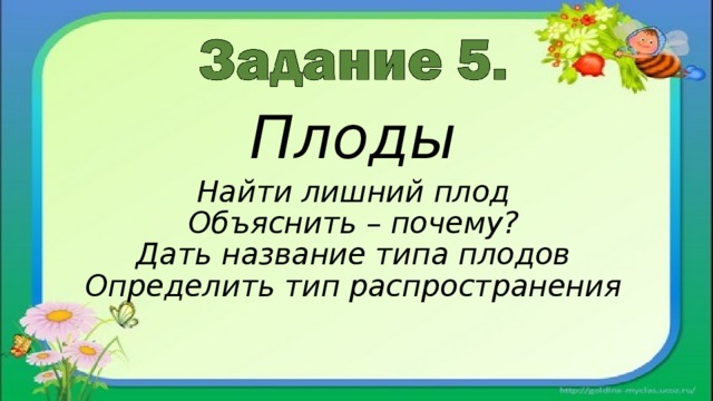 Плоды Найти лишний плод Объяснить – почему? Дать название типа плодов Определить тип распространения