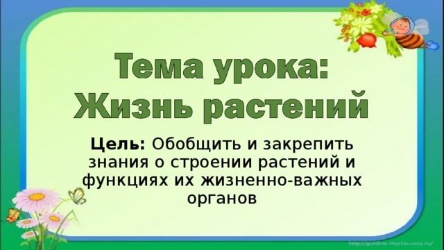 Цель: Обобщить и закрепить знания о строении растений и функциях их жизненно-важных органов