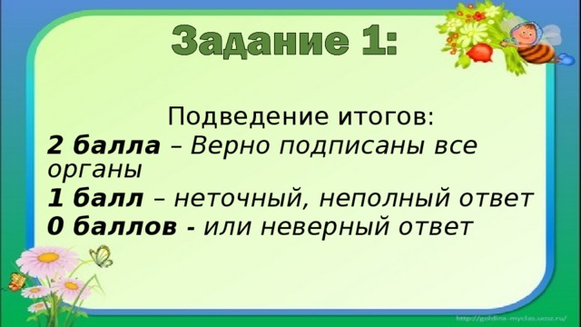 Подведение итогов: 2 балла – Верно подписаны все органы 1 балл – неточный, неполный ответ 0 баллов - или неверный ответ