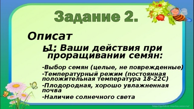 Описать : 1. Ваши действия при проращивании семян: -Выбор семян (целые, не поврежденные) -Температурный режим (постоянная положительная температура 18-22С) -Плодородная, хорошо увлажненная почва -Наличие солнечного света