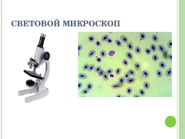 Световой микроскоп