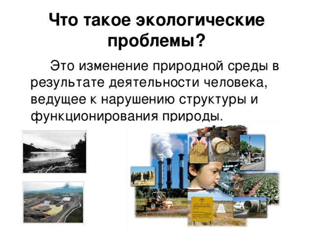 Что такое экологические проблемы?   Это изменение природной среды в результате деятельности человека, ведущее к нарушению структуры и функционирования природы.