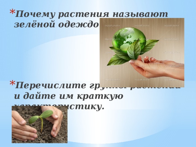 Почему растения называют зелёной одеждой Земли?     Перечислите группы растений и дайте им краткую характеристику.