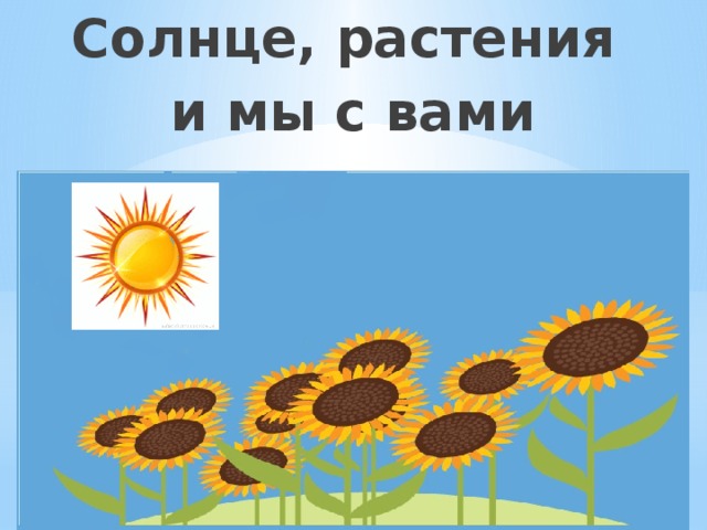 Солнце, растения и мы с вами
