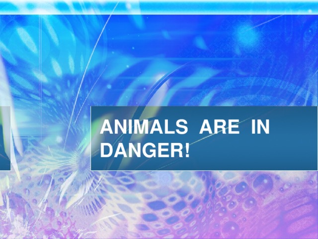 ANIMALS ARE IN DANGER!