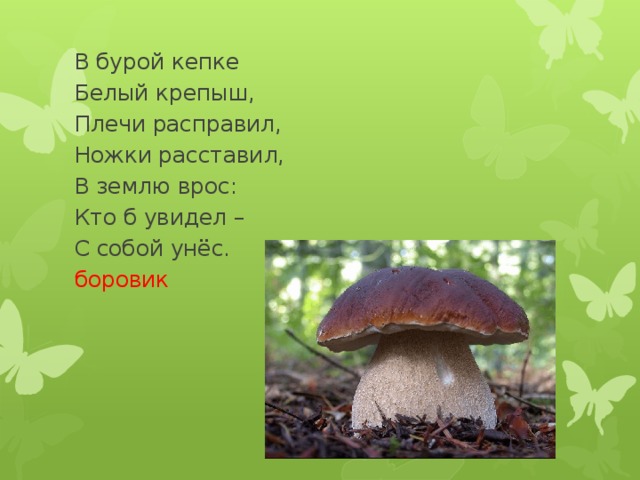 В бурой кепке Белый крепыш, Плечи расправил, Ножки расставил, В землю врос: Кто б увидел – С собой унёс. боровик