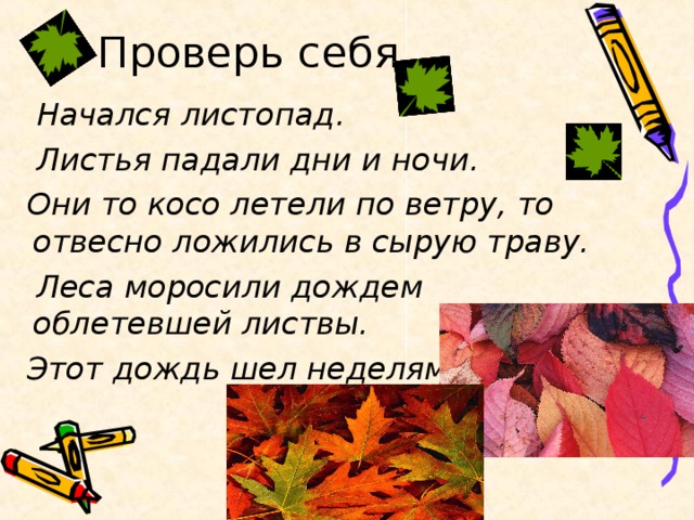 Начался листопад.  Листья падали дни и ночи.  Они то косо летели по ветру, то отвесно ложились в сырую траву.  Леса моросили дождем облетевшей листвы.  Этот дождь шел неделями.