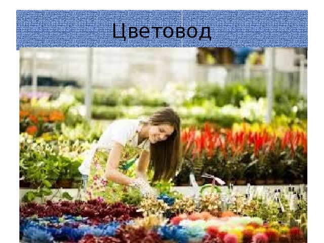 Цветовод