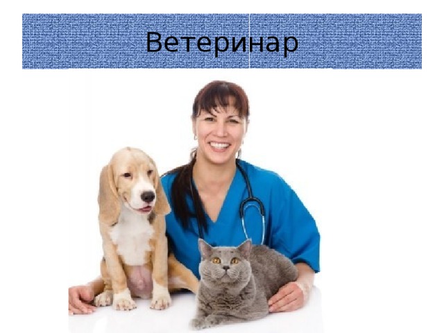 Ветеринар