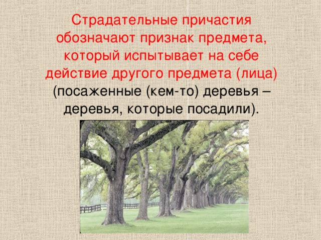 Страдательные причастия обозначают признак предмета, который испытывает на себе действие другого предмета (лица) ( посаженные (кем-то) деревья – деревья, которые посадили ).