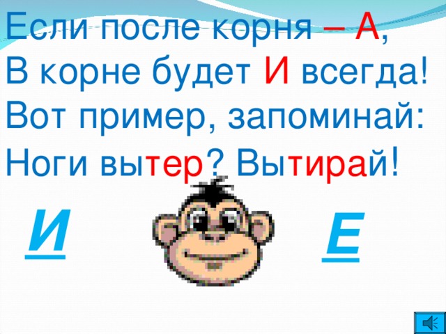 Если после корня – А , В корне будет И всегда! Вот пример, запоминай: Ноги вы тер ? Вы тира й ! И Е