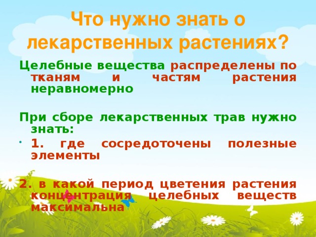 Что нужно знать о лекарственных растениях? Целебные вещества распределены по тканям и частям растения неравномерно  При сборе лекарственных трав нужно знать: 1. где сосредоточены полезные элементы  2. в какой период цветения растения концентрация целебных веществ максимальна