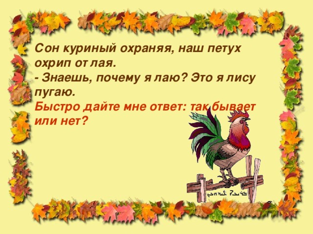 Сон куриный охраняя, наш петух охрип от лая.  - Знаешь, почему я лаю? Это я лису пугаю.  Быстро дайте мне ответ: так бывает или нет?